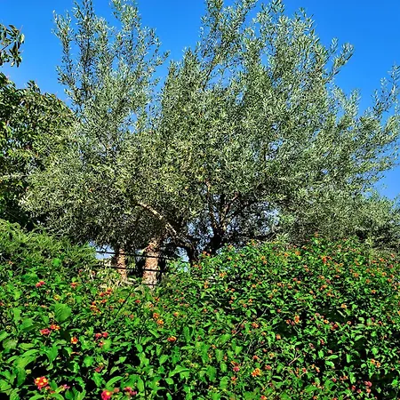 Hotel Kallikoros Country & Noto