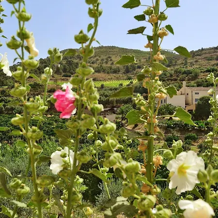 Kallikoros Country & 4* Noto