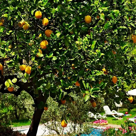 Kallikoros Country & Hotel Noto