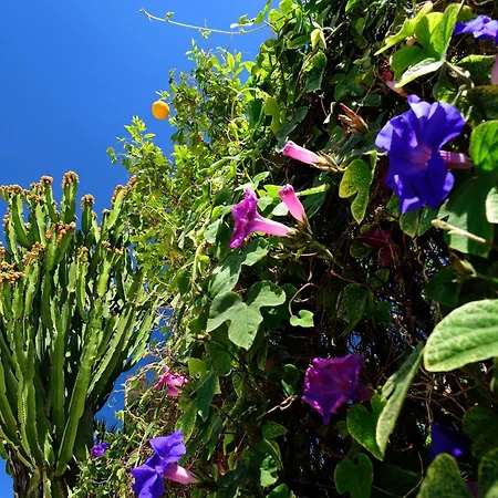 Kallikoros Country Resort&spa Hotel 4*