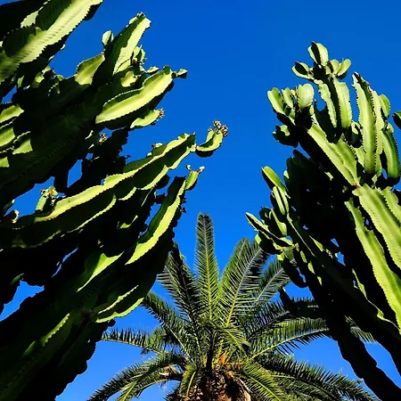 Hotel Kallikoros Country Resort&spa Noto