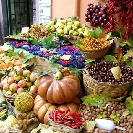 Kallikoros Country & Ξενοδοχείο Νότο