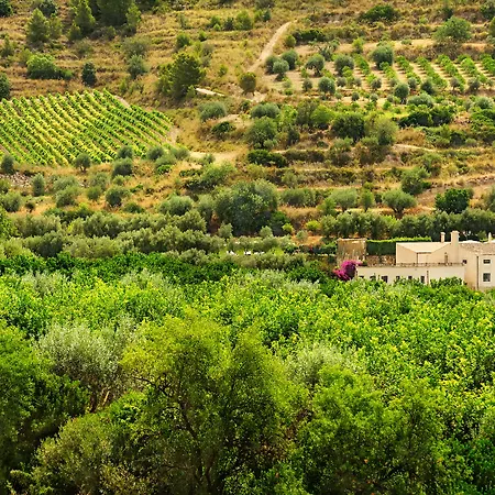 Kallikoros Country & Ξενοδοχείο 4*